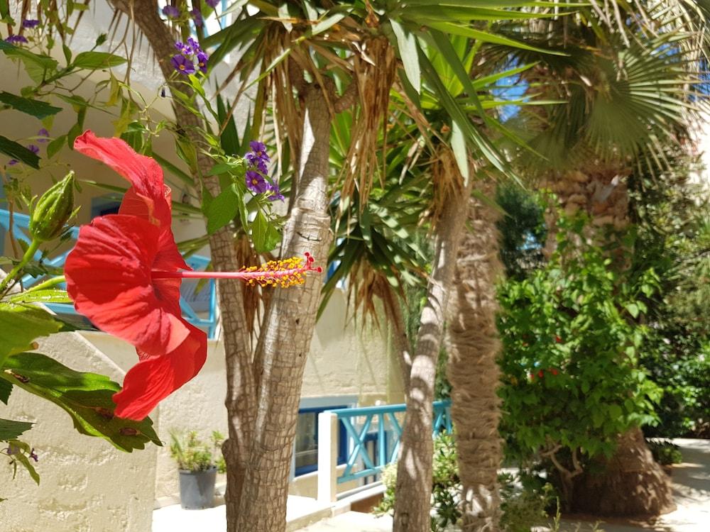 Galazio Apts And Suites By Estia. Analipsi (Crete) Exterior foto